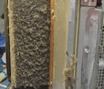 Screenshot 2025-03-21 172209